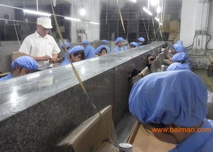 加工PVC玩具塑膠公仔，首選東莞鴻博 品質、價格、服務一站式解決方案