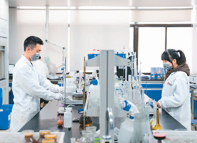 技術(shù)服務(wù) 數(shù)字時代中的視覺敘事與創(chuàng)新支持